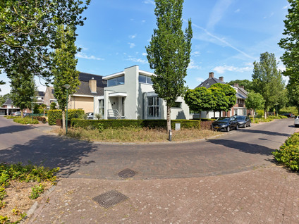 Sint Jansbloem 38
