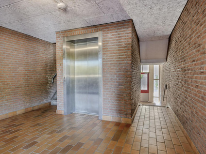 Erasmusdomein 12A