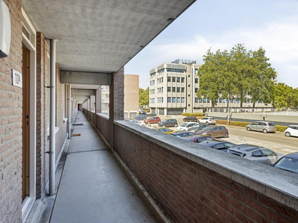 Erasmusdomein 12A