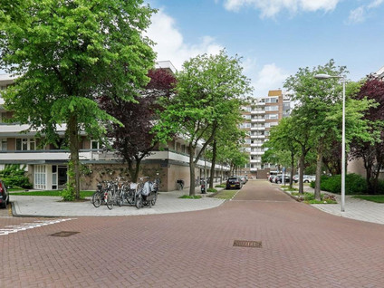 Bolestein 592, Amsterdam