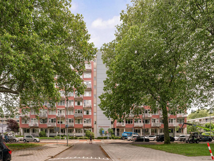 Koningslaan 298