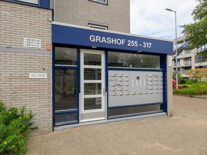 Grashof 291