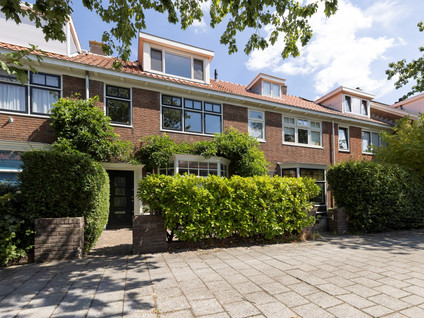 Meeuwenstraat 38