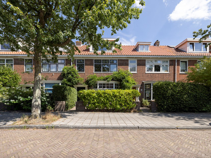 Meeuwenstraat 38