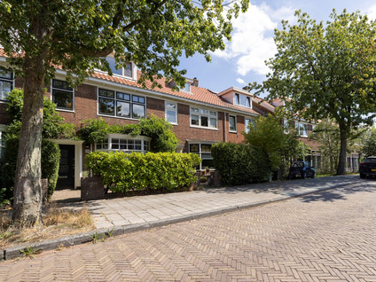 Meeuwenstraat 38