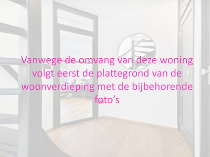 Reigerstraat 22