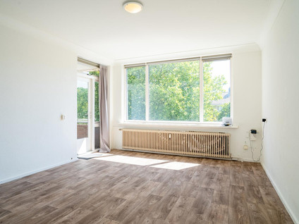 Dommelstraat 74