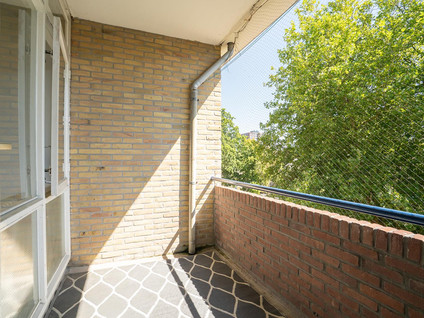 Dommelstraat 74
