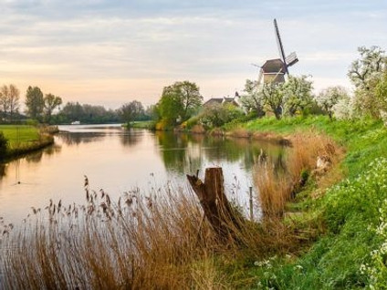 Rijnbandijk 10B113