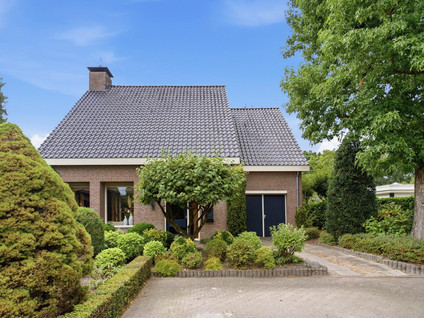 de Mahonie 8