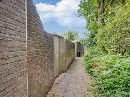 Zaaren 167