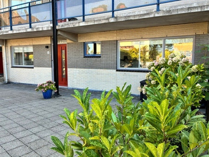 Roode Leeuw 14
