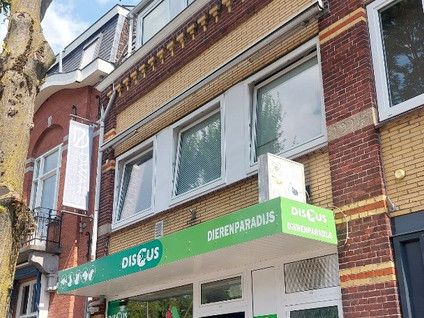 Emmasingel 11A