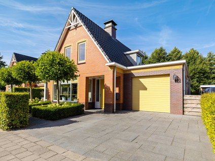 De Koppel Paarden 4