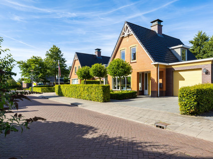 De Koppel Paarden 4