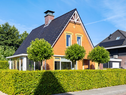 De Koppel Paarden 4