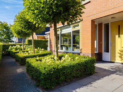 De Koppel Paarden 4