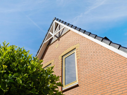 De Koppel Paarden 4