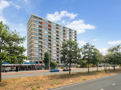 Teunisbloemplein 84