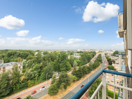Teunisbloemplein 84