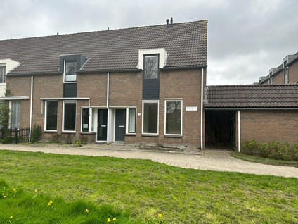 Brandnetel in Hoorn