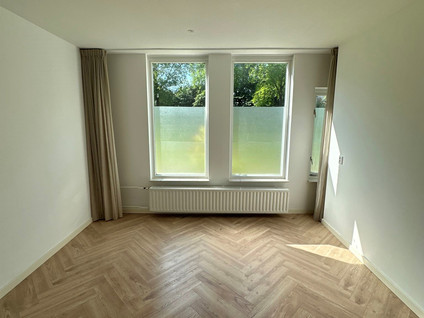Brandnetel 15