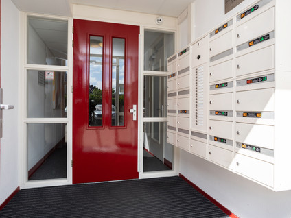 Linie 38