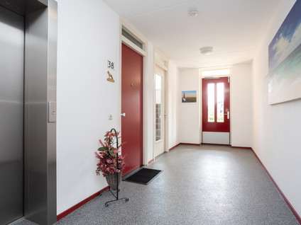 Linie 38