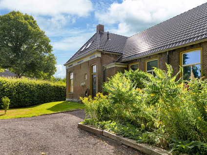 Hoogstraten 4