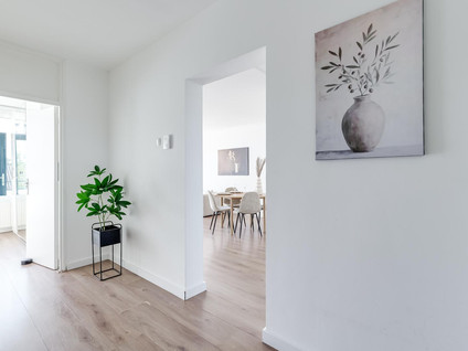 Amalia van Solmsstraat 197