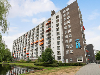 Suze Groeneweglaan 313