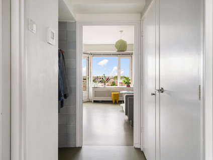 Suze Groeneweglaan 313