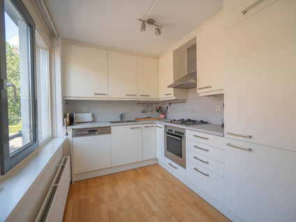 Molukkenstraat 6