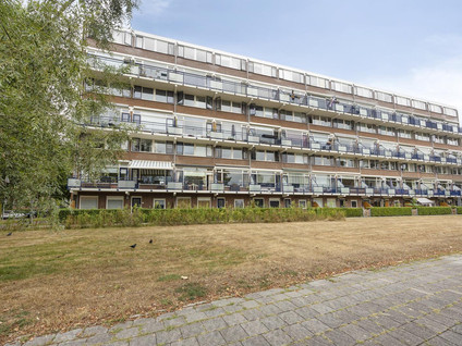 Obrechtstraat 287