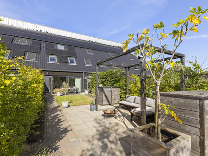 Hoendiep 155n