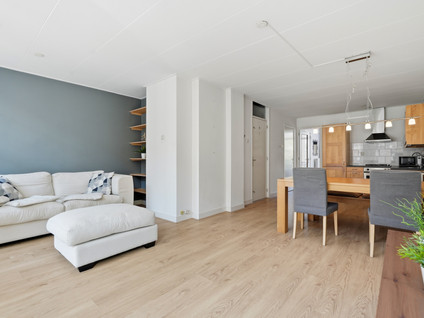 Van Woustraat 117 1