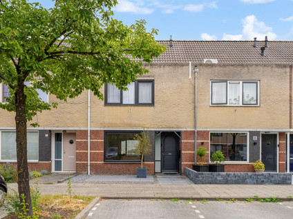 Zilverschoon 17