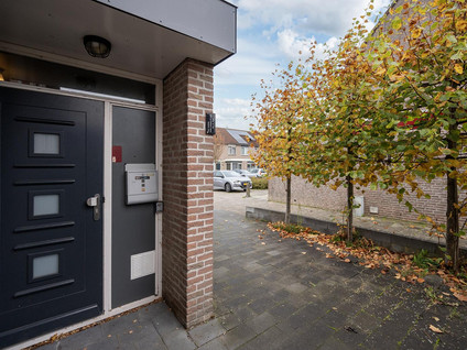 Borstelgrasstraat 12
