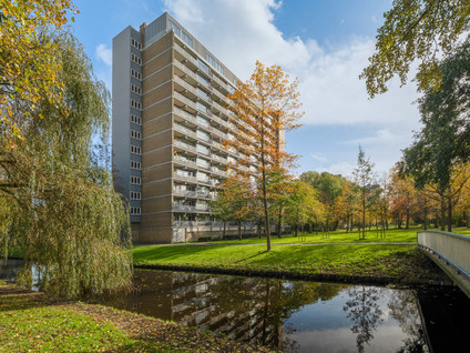 Griegplein 60