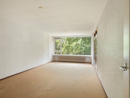 Griegplein 60