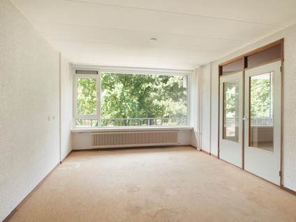 Griegplein 60