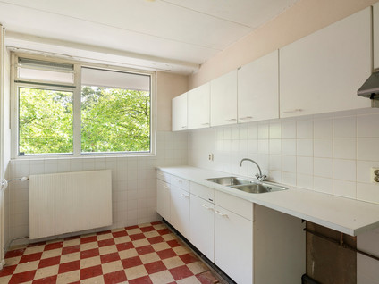 Griegplein 60
