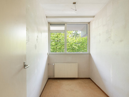 Griegplein 60