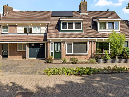 Rielant 53