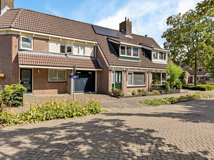 Rielant 53