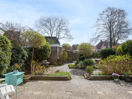 Zwanebloem 34