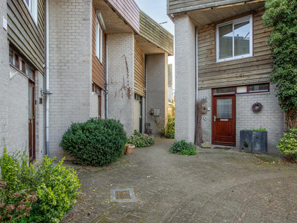 Zwanebloem 34