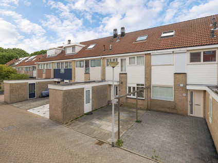 Ruiter 10