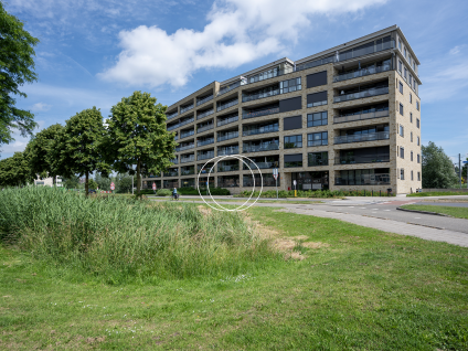 Aziëlaan 405