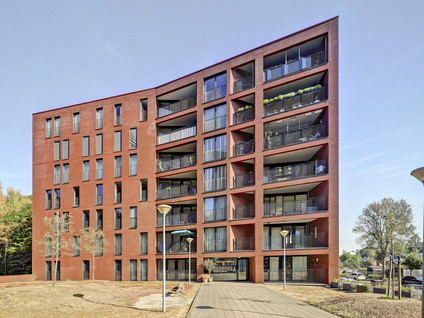 Wijnruitstraat 315